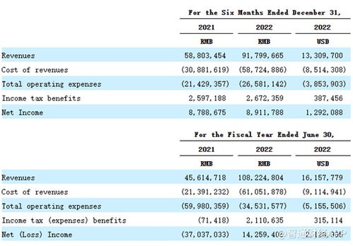重銷售輕研發(fā)，致保科技赴美IPO成長(zhǎng)性迎考，單一業(yè)務(wù)依賴風(fēng)險(xiǎn)凸顯
